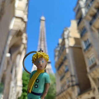 Логотип @elfle_fr - французские истории Эльвины