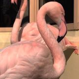 Логотип @elgrva - Группа удалена!