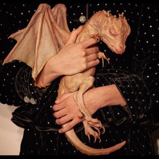 Логотип @elinapzv - hic sunt dracones