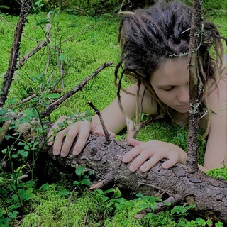 Логотип @elisoilo - лесные зарисовки