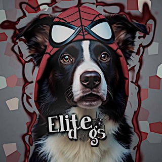 Логотип @elite_dogs1 - 𝙀𝙡𝙞𝙩𝙚.𝙙𝙤𝙜𝙨ᶜʰᵃᶰᶰᵉᶫ