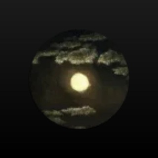 Логотип @elizavetafongreiz - закрыт