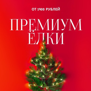 Логотип @elki_premium_2023 - Ёлки от 1900 руб + гирлянда 20м в подарок