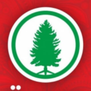 Логотип @elki_tashkenta - 🎄🎉Ёлки Ташкента по оптовым ценам 2023 ☃️❄️📱Онлайн-магазин новогодних товаров 🎅 🎄