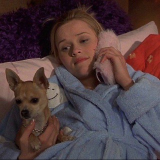Логотип @ellewoodsiscalling - Elle Woods is calling