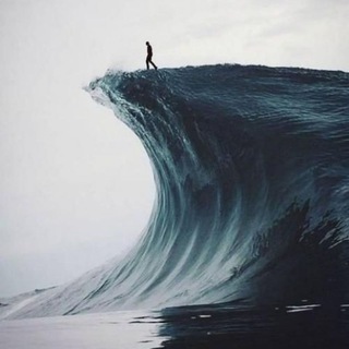 Логотип @elliottwaveprinciple2005 - Elliott Wave Principle _ Волновой принцип Эллиотта
