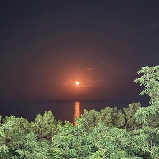 Логотип @ellluze - xm