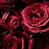 Логотип @ellyvideos9 - Elly Videoliste