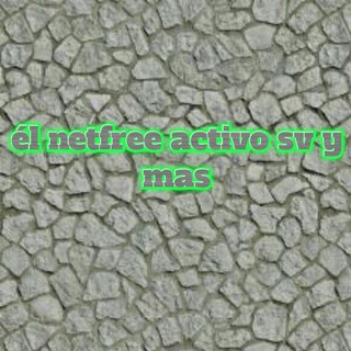 Логотип @elnetfreeactivo - El netfree activo sv y mas