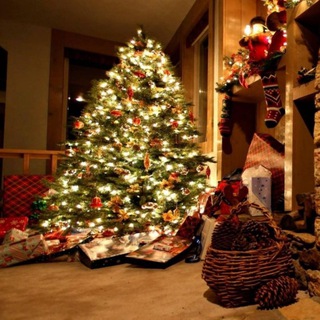 Логотип @elochkaopt - Елки оптом | Новогодние украшения | Сосны оптом