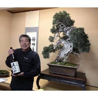 Логотип @elrincondelbonsai - El Rincón del Bonsái