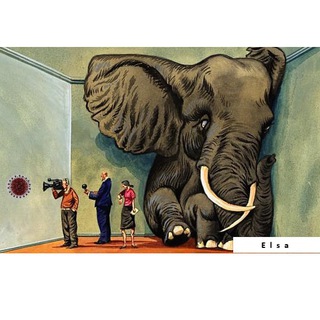 Логотип @elsacoronafant - Elsa der Coronafant