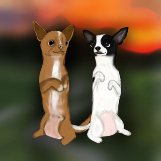 Логотип @elyabonyalove - ᴄᴇʍья чихуᴀɯᴇᴋ