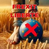 Логотип @emancipationcitoyenne2020 - FREXIT-LIBERTÉ