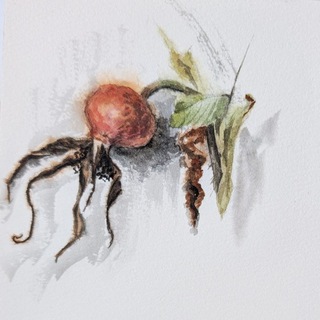Логотип @embroideryrosa - Вышивка АРТ🐌