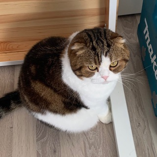 Логотип @emenemememe - чат общения!!