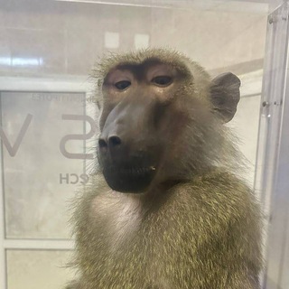 Логотип @emf3os - Логово Леонида