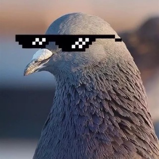 Логотип @emigrant_de - Я эмигрант простой