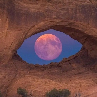 Логотип @emillionteam - Emilion