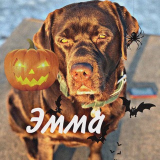 Логотип @emmalifee - 🎃Жизнь Эммы🎃