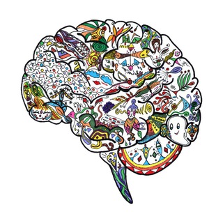 Логотип @emobrain - EmoBrain