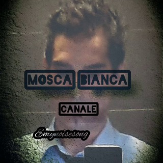 Логотип @emynoisesong - MOSCA BIANCA