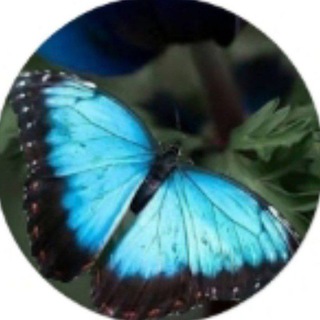 Логотип @enarmonia1111 - 🦋🍃En Armonía