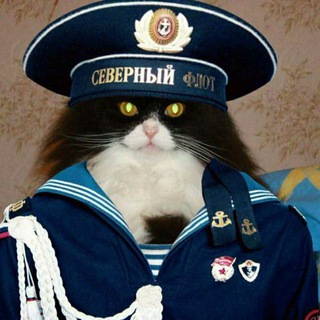 Логотип @enderovich - КотZ ГамаюнZ