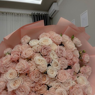 Логотип @endlesscruelty - MY WORLD