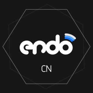 Логотип @endo_cn - ENDO - 区块链协议