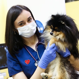 Логотип @endo_ge - Ветеринарная эндоскопия и гастроэнтерология💩🐈‍⬛🐕