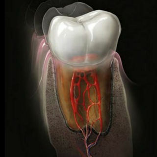 Логотип @endodont - Endodontitis