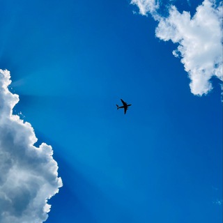 Логотип @endonovosibirsk - ЭндоНовосибирск