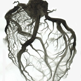 Логотип @endovascular_team - Endovascular.team