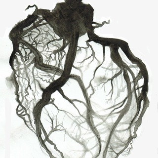 Логотип @endovascularteam - Endovascular.team Chat