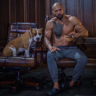 Логотип @endryteits - Мотивация от Тейта