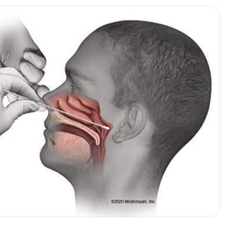 Логотип @endvirusfoundation - END VIRUS FOUNDATION