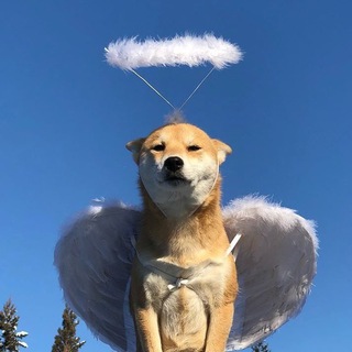 Логотип @endyouworlddima - мы и есть вечность