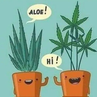 Логотип @endzeithumor - Ganz mein Humor für die Endzeit