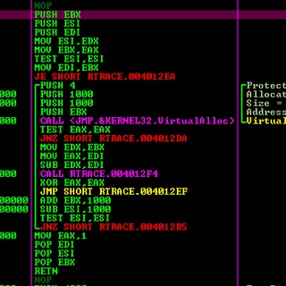 Логотип @engenhariareversa - Reverse Engineering