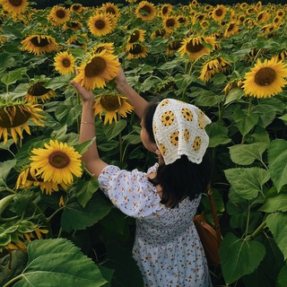 Логотип @english_with_erika - Эрика | Английский и книги