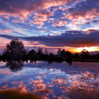 Логотип @english_with_twin_kimo - English with twin 👭