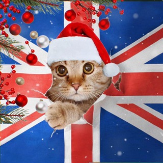 Логотип @englishcoursez - Курсы иностранных языков