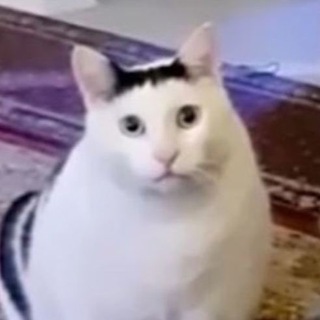 Логотип @englishnauch - Инглишу НЕ Научишб