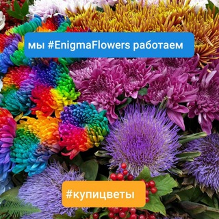 Логотип @enigmaflowerssales - Enigma горячие продажи🔥🔥