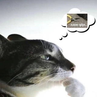 Логотип @ennkolenna - eug🪽