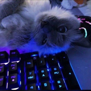 Логотип @enorfi - ФЛУРИ ЛУДОМАН??