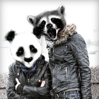 Логотип @enotopanda - Панда и енот