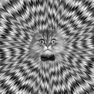 Логотип @enterprise_uss - Illusion of deception