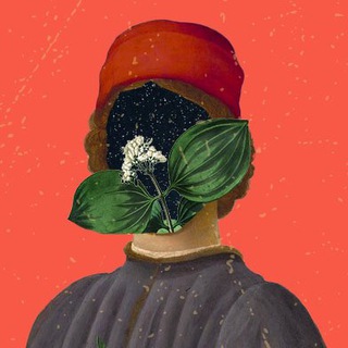 Логотип @entheogenicrenaissance - Энтеогенный Ренессанс